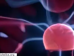 Sites similar to brain-film.ru