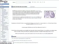 Sites similar to brain-maps.org
