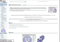 Sites similar to brainmaps.org