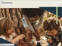 Sites similar to brambleton.com