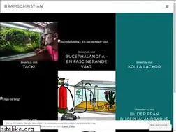 Sites similar to bramschristian.wordpress.com