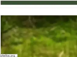 Sites similar to bramwell-int.co.uk