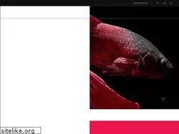 Sites similar to brand-image.co.uk