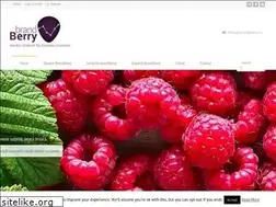 Sites similar to brandberry.ro