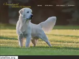 Sites similar to brandegold.com