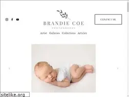 Sites similar to brandiecoephotography.com
