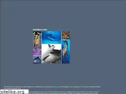 Sites similar to brandoncole.com