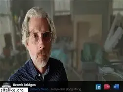 Sites similar to brandtbridges.com