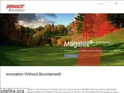 Sites similar to brandtihammer.co