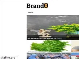 Sites similar to brandx.vn