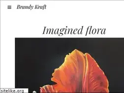 Sites similar to brandykraft.com