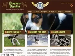 Sites similar to brankosbeagles.com