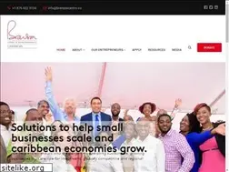 Sites similar to bransoncentre.co