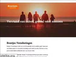 Sites similar to brantjesassurantien.nl