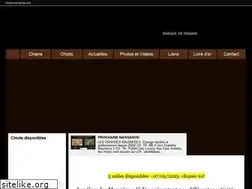 Sites similar to braquedeweimar.fr
