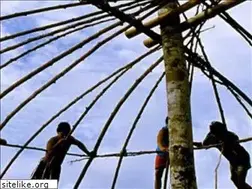 Sites similar to brasiloeste.com.br