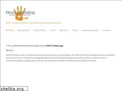 Sites similar to braunpainting.com