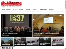 Sites similar to braunschweig-spiegel.de