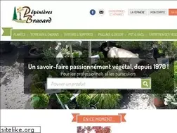 Sites similar to bravard.fr