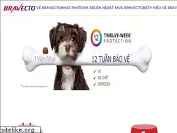 Sites similar to bravecto.com.vn