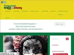 Sites similar to bravissimi.org