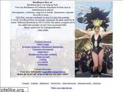 Sites similar to braziliaanse-feest.nl
