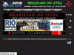 Sites similar to brazilianjiujitsufirenze.it