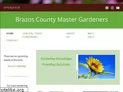 Sites similar to brazosmg.com