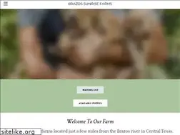 Sites similar to brazossunrisefarms.com