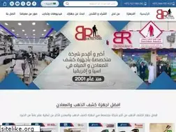 Sites similar to brdetectors-dubai.com