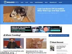 Sites similar to breadedcats.com
