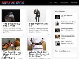 Sites similar to breakinggrips.com