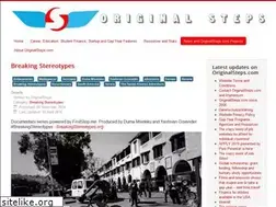 Sites similar to breakingstereotypes.org
