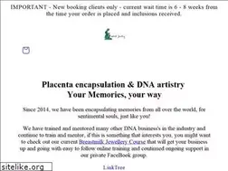 Sites similar to breastmilkjewellery.com