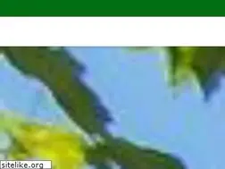 Sites similar to breatheeasy123.com