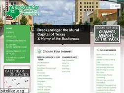 Sites similar to breckenridgetexas.com