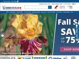 Sites similar to brecksbulbs.ca