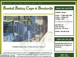 Sites similar to brecksvillebatting.com