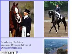 Sites similar to bredahldressage.com
