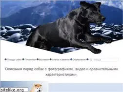 Sites similar to breeds-info.ru