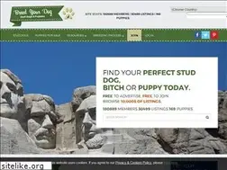 Sites similar to breedyourdog.com
