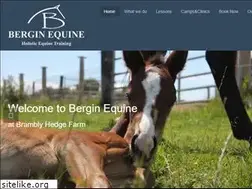Sites similar to brendanbergin.com