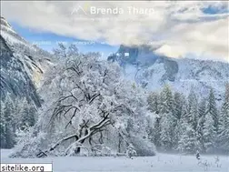 Sites similar to brendatharpphotography.com