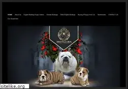 Sites similar to brenglorabulldogs.com
