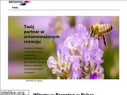 Sites similar to brenntag.pl