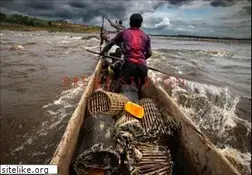 Sites similar to brentstirton.com