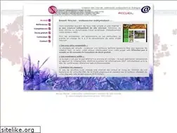 Sites similar to bretagne-site-internet.com