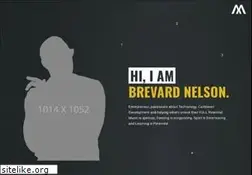 Sites similar to brevardnelson.com