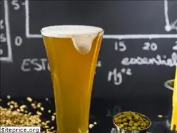 Sites similar to brewlab101.com