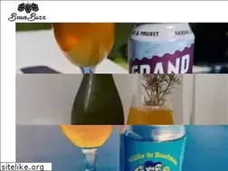 Sites similar to brewsbuzz.com